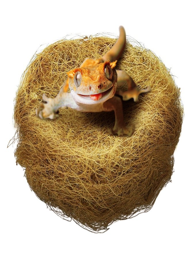 صن جرو ألياف قشر جوز الهند من صن جرو لفرش كهوف الزواحف - Image 1